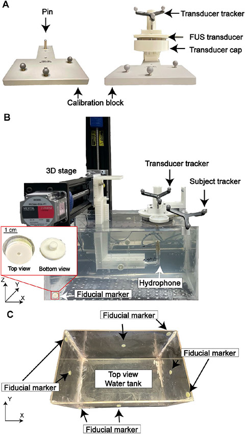 Fig.1.