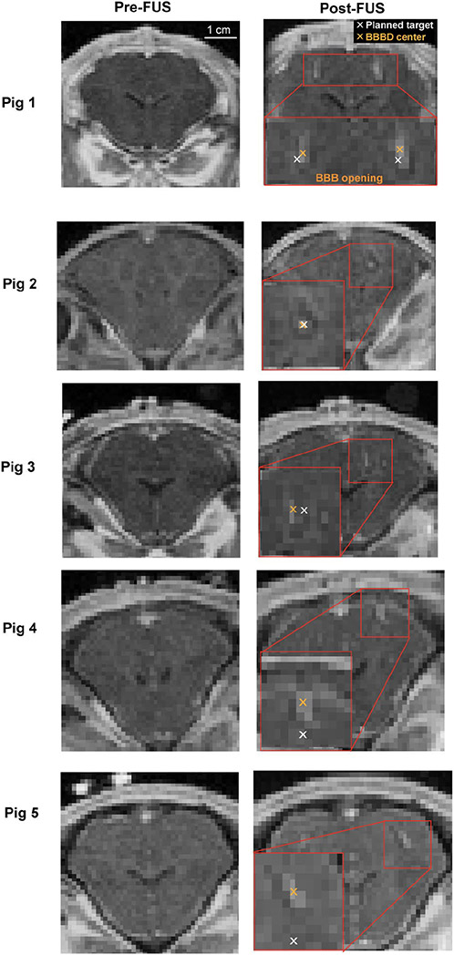 Fig.6.