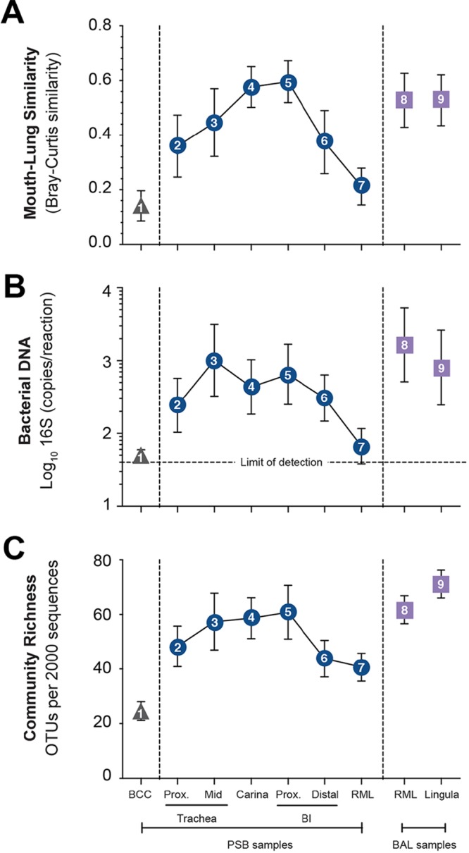 FIG 3 