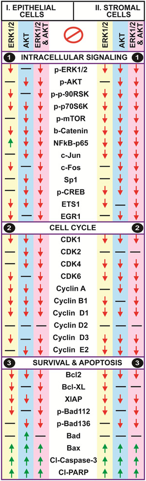 Fig-9: