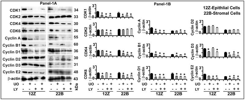 Fig-5: