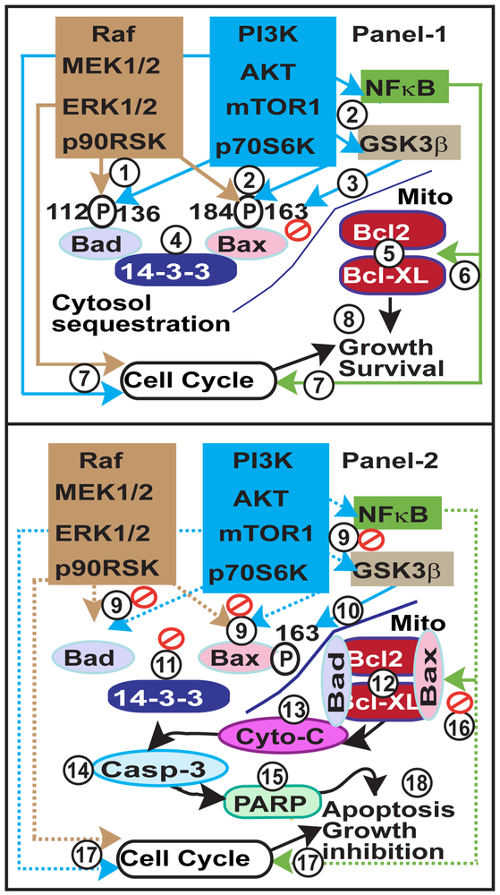 Fig-10: