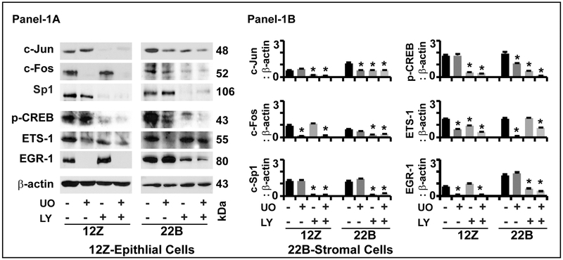 Fig-2: