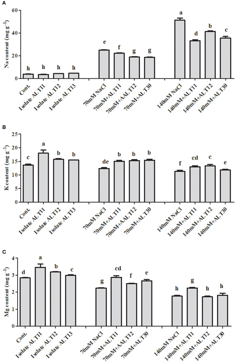 Figure 6