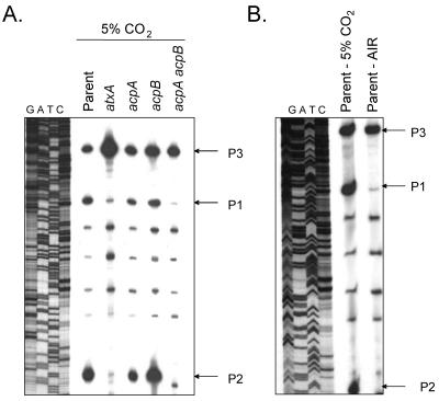 FIG. 3.