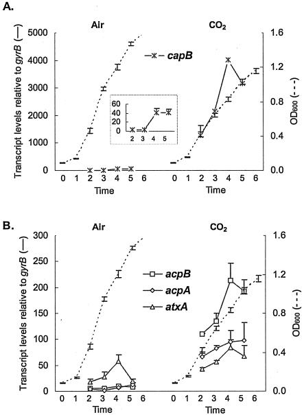 FIG. 1.