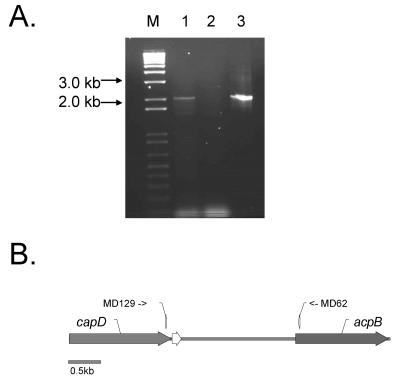 FIG. 5.