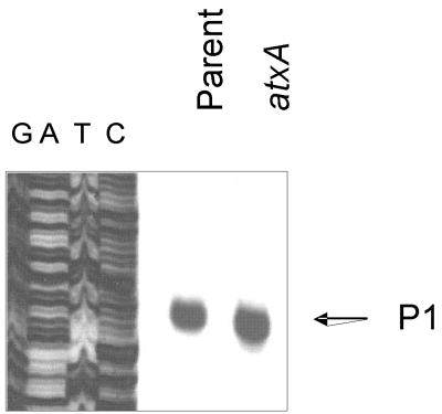 FIG. 4.