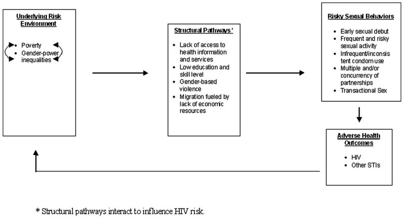 FIGURE 1