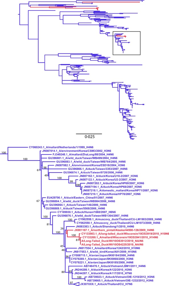 Figure 2