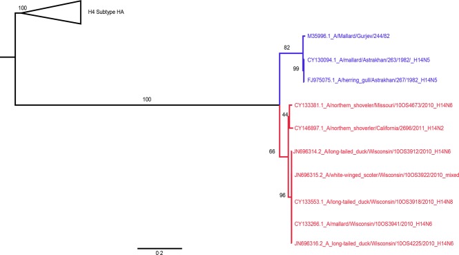 Figure 4