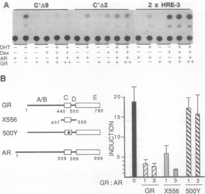 graphic file with name pnas01098-0022-a.jpg