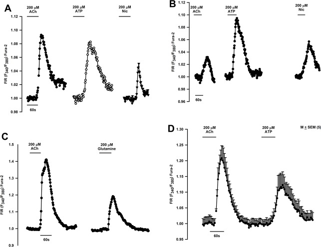 Fig 16