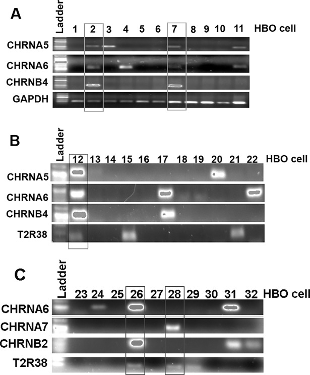 Fig 11