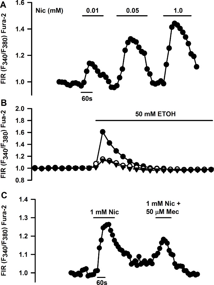 Fig 17