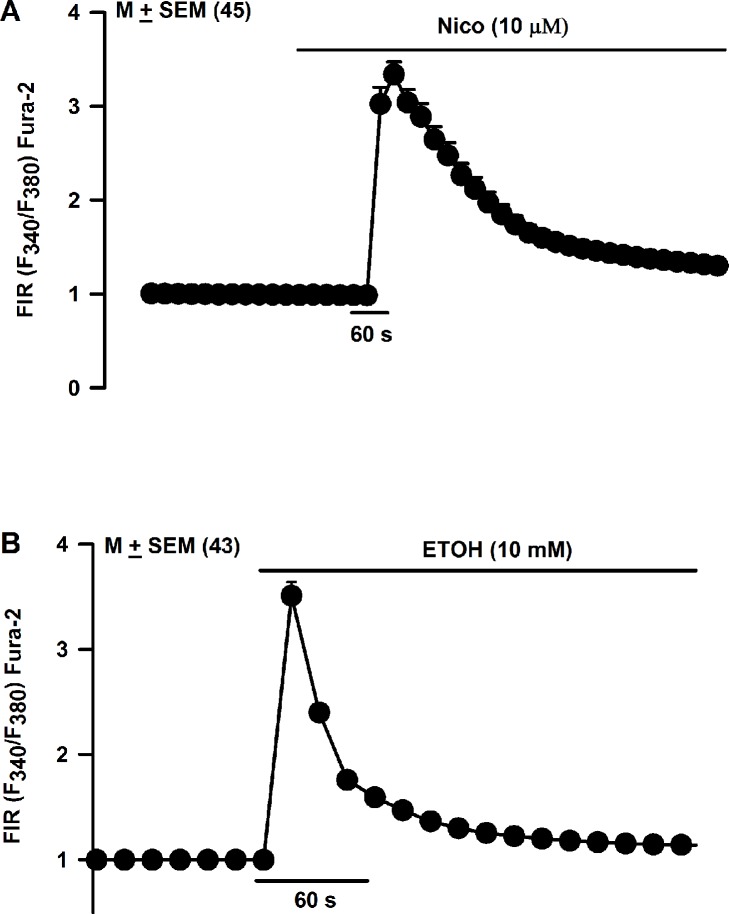 Fig 18