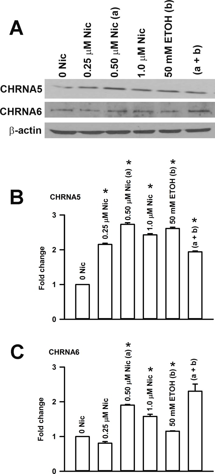 Fig 14