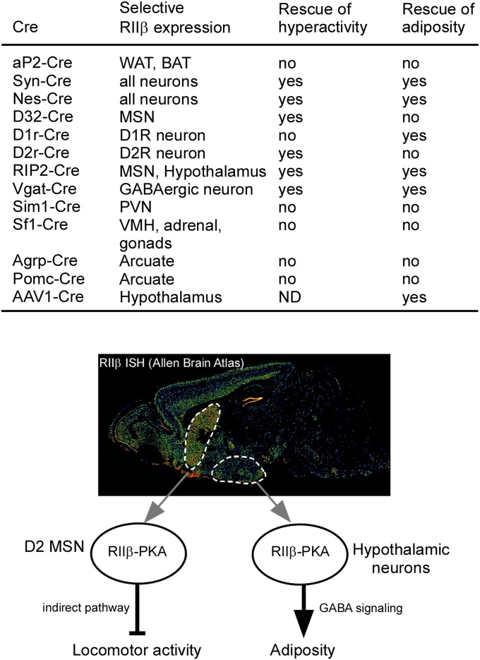 Fig. 8.