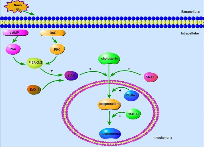 Figure 14