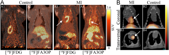 Fig. 4