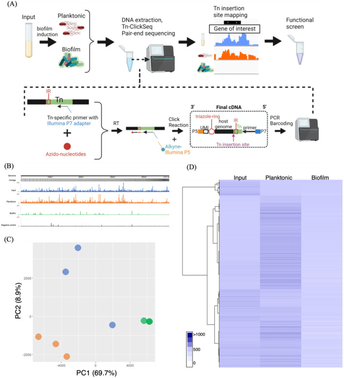 Figure 2:
