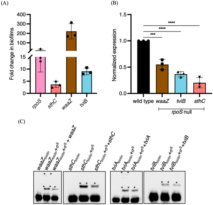 Figure 5: