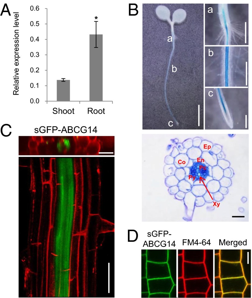 Fig. 2.