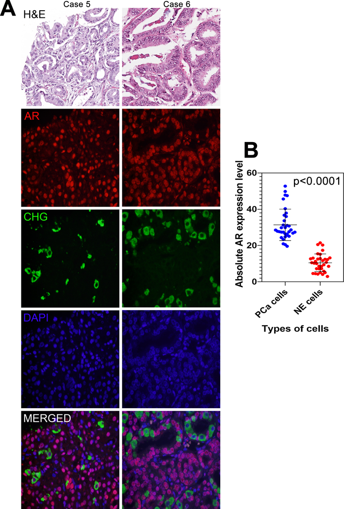 Figure 3: