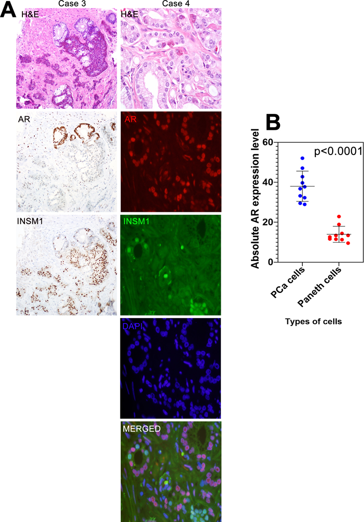 Figure 2: