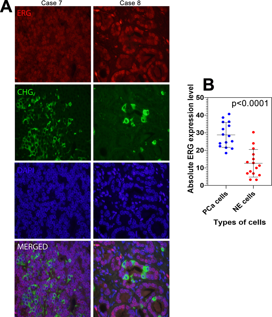 Figure 4: