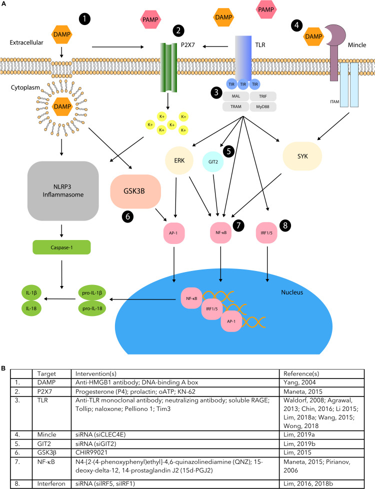 FIGURE 2