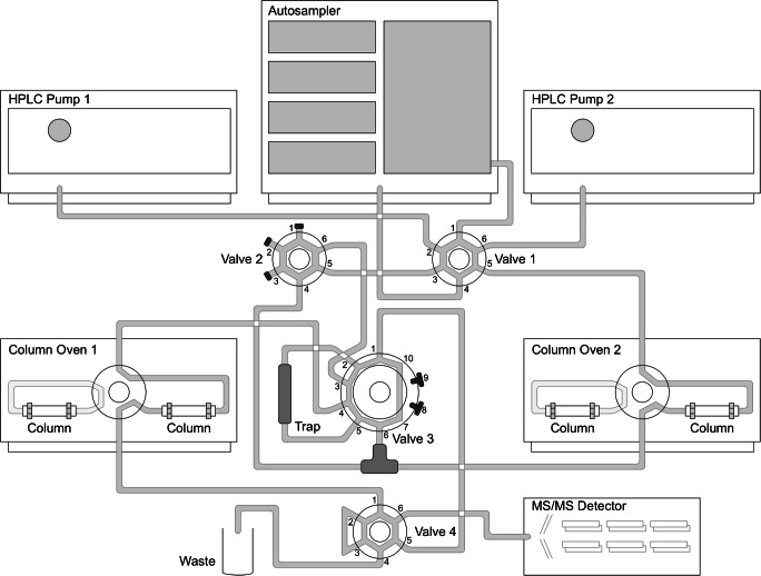 Fig. 1