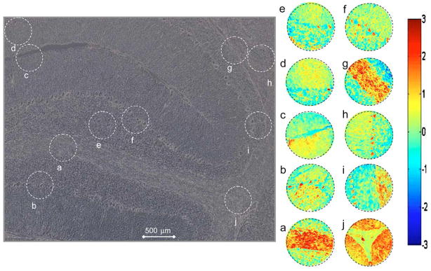 Fig. 3