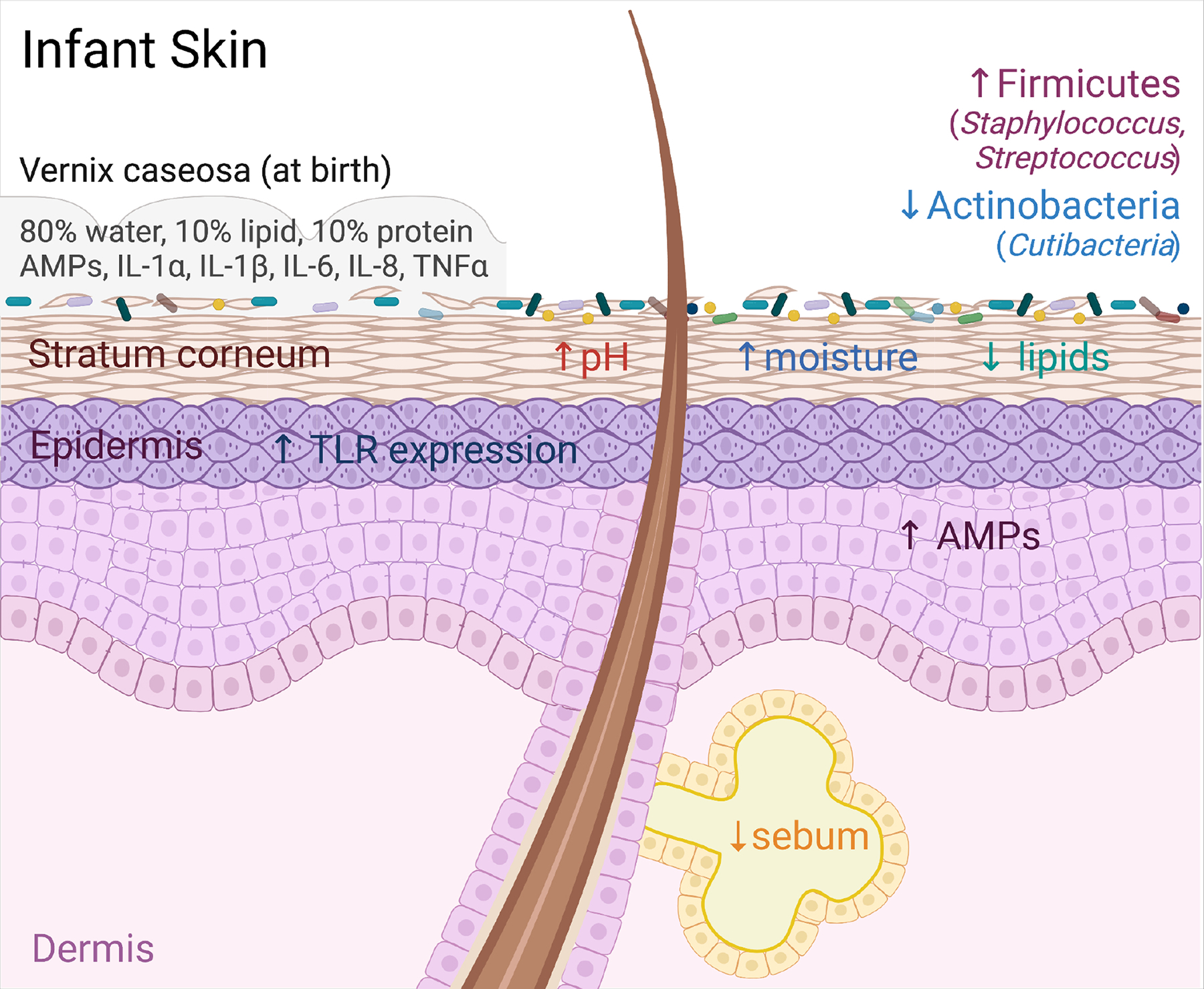 Figure 1: