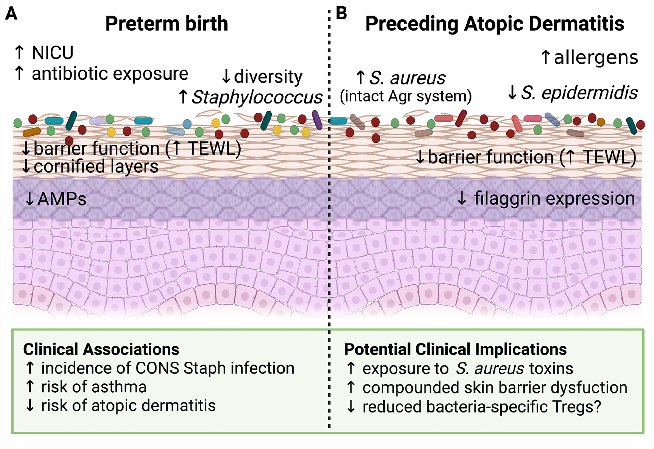 Figure 3: