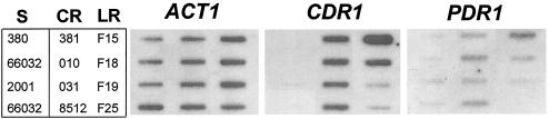 FIG. 5.