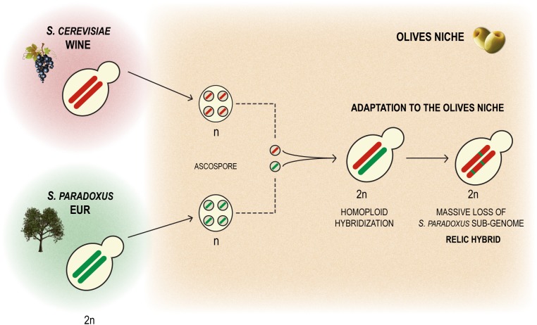 FIGURE 6