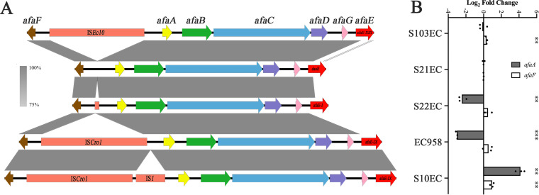 FIG 3