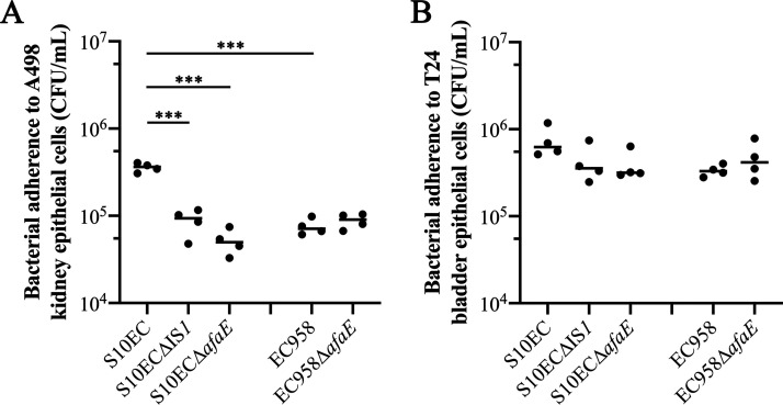 FIG 6