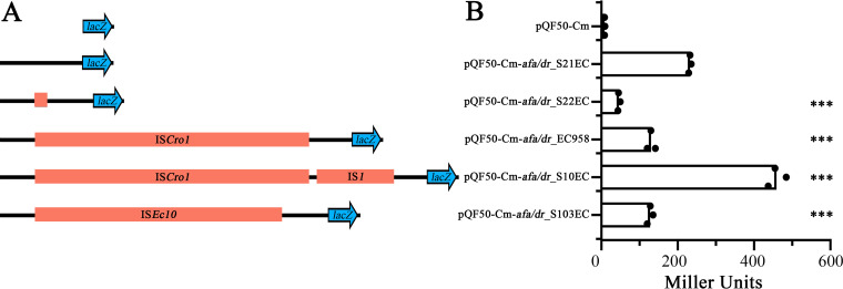 FIG 4