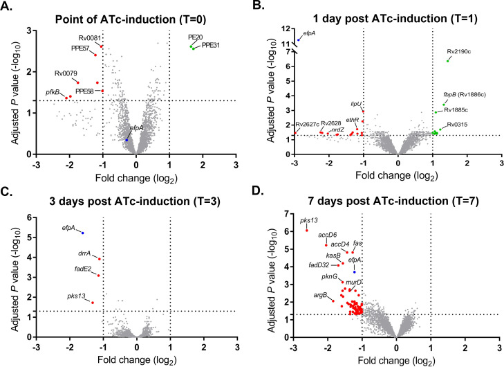 Fig 6