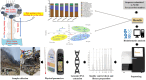 Image, graphical abstract