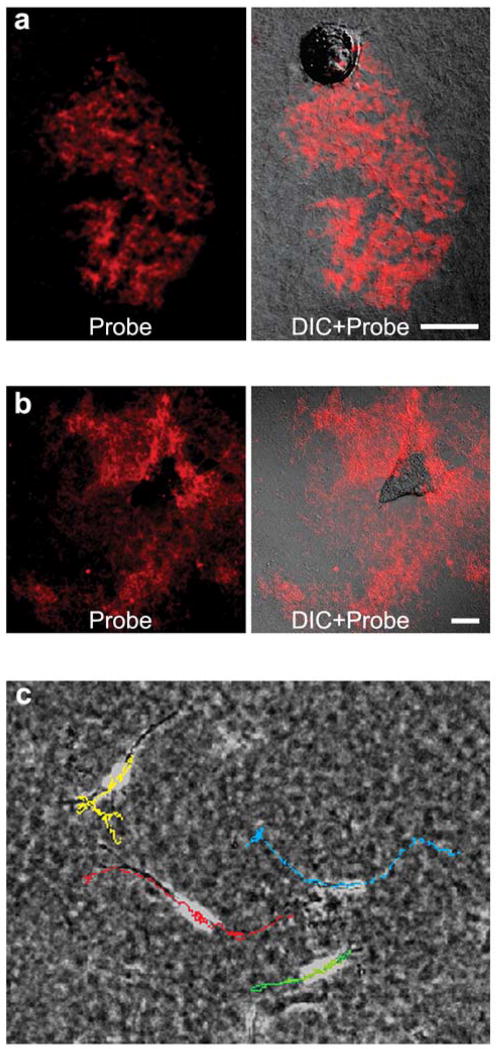 Fig. 4