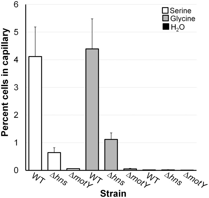 Fig 10