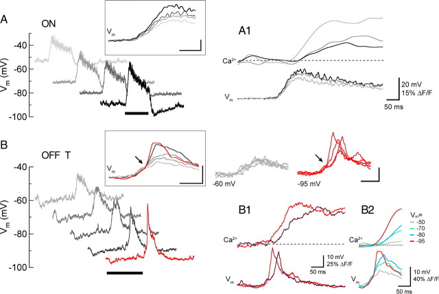 Figure 7.