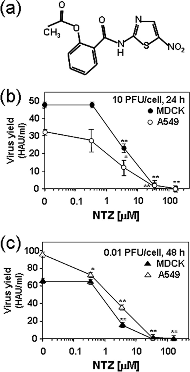 FIG 1