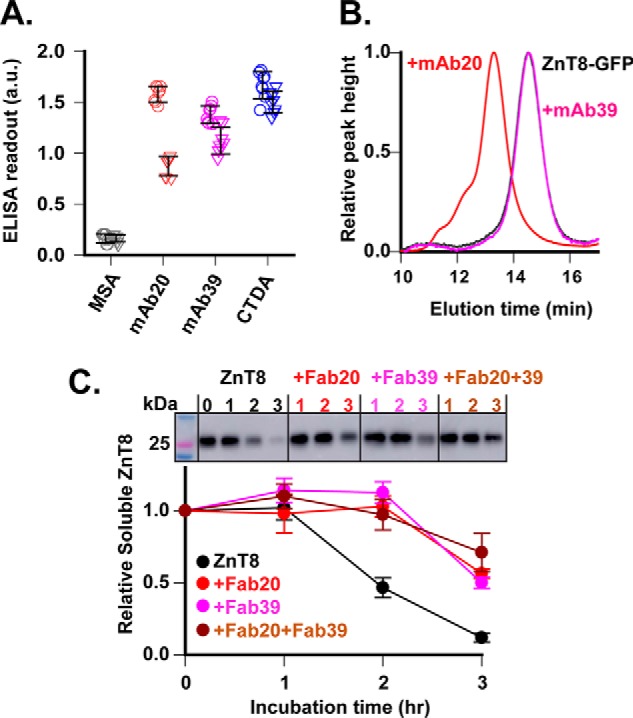 Figure 4.