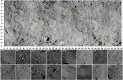 Fig. 15