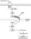 Fig. 1