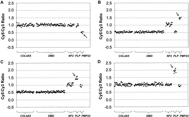 Figure  3